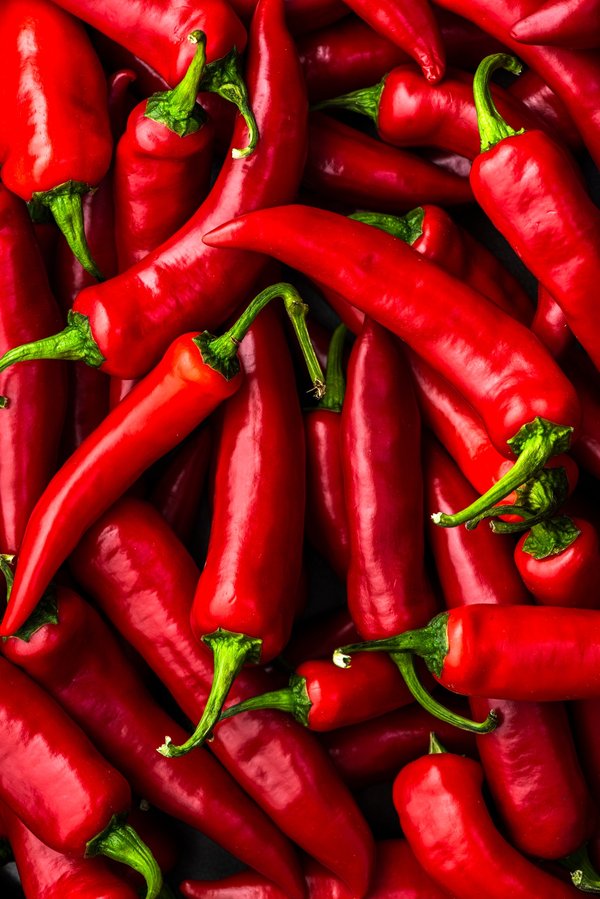 Achat piments et poivrons : la chaleur à portée de main !